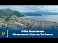 Hidha Haaromsaa Hirmaannaa Hundaa Barbaadu 