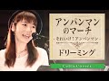 アンパンマンのマーチ / ドリーミング【ケルティックカバー】フルVer. Anpanman