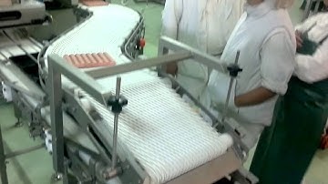 Handtmann + Verbufa MVD 8 & Denester SICON EOOD