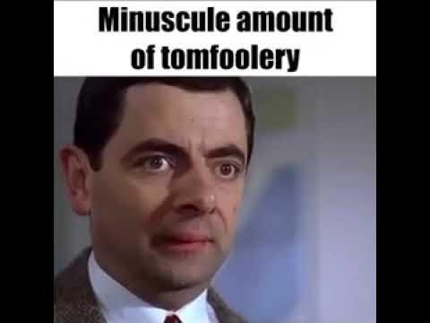 Minuscule amount of tomfoolery (mr bean meme) - YouTube