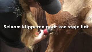 Vinter Soignering Og Pålægning Af Dækken