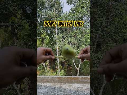 Don't watch this video because it will take you back to your childhood memories.  #shorts #viral