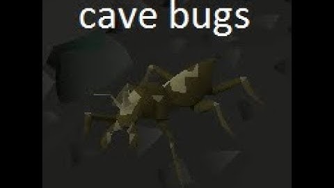osrs how to get to cave bug guide