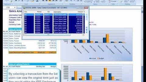 IRIS Exchequer - Microsoft Excel Integration