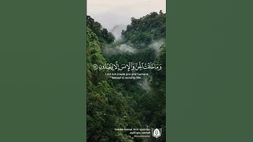 #تلاوة من #سورة_الذاريات بصوت #سعود_الشريم #قرآن #قرآن_كريم #آيات #استغفرالله #الحمدلله #quran