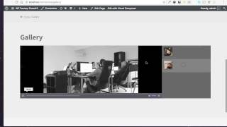 DZS Video Gallery WordPress - Easy Setup