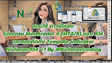 สอนวิธีดาวน์โหลดโปรแกรม Metatrader 4 (MT4/5) ของ XM และสอนติดตั้ง Tempate indicator Nicharas954 v.1