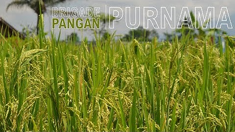 Brigade Pangan Purnama