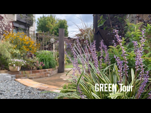 一度見たら忘れられない景色広がるお庭には秋ならではのお花で溢れてい
