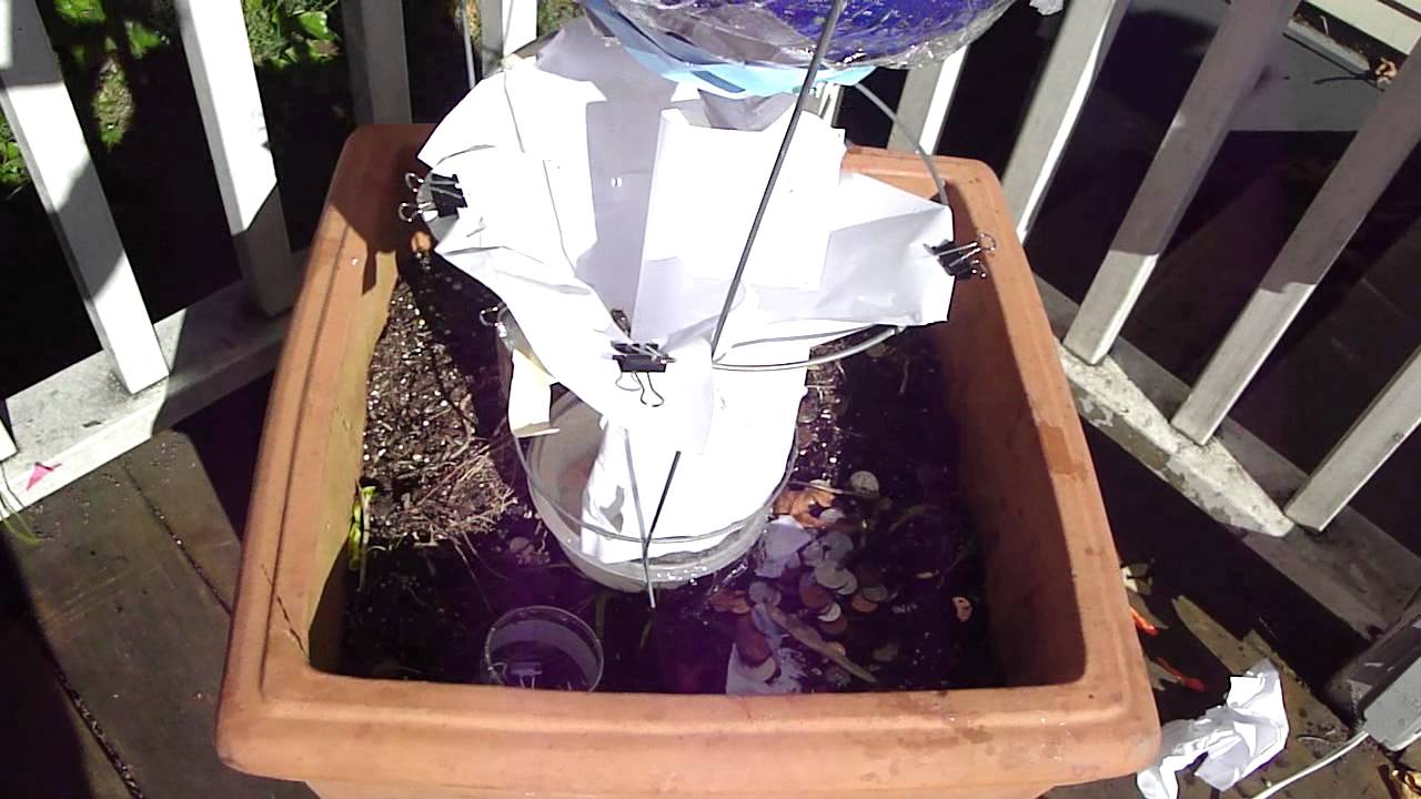 water plant rube goldberg YouTube