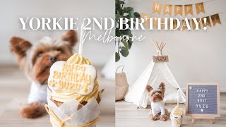 A DAY IN THE LIFE OF A YORKIE | YORKIE BIRTHDAY | Winner of Dog Competition