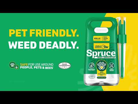 The Procter & Gamble YouTube ad: Spruce: Snap, Spray, Done! Pet friendly, weed deadly.