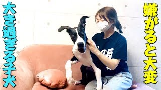 この大きさで生後４ヶ月？！全てがダイナミック！！