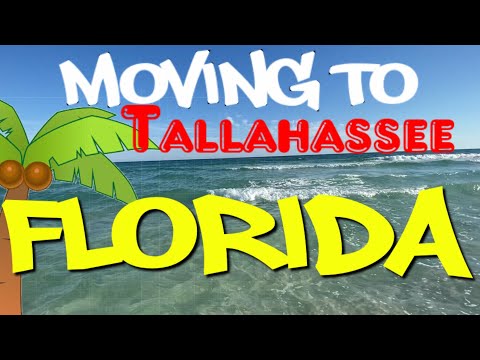 Moving To Tallahassee 🌴 Everything You Need To Know