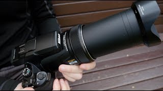 Nikon P1000 - Review and Sample Zooooooooooooms