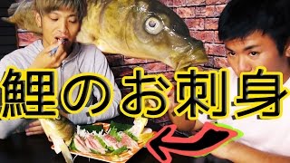 鯉を捌いて刺身で食す！