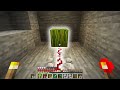 Minecraft: You won't expect what happens...