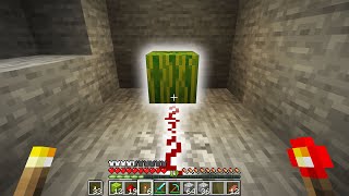 Minecraft: You wont expect what happens...