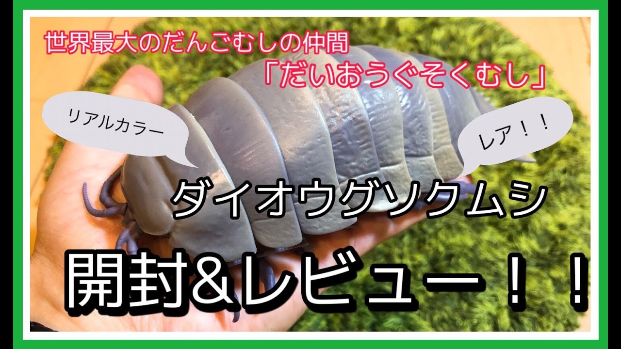 入手困難！？超リアル！！】ダイオウグソクムシレア！！リアルカラー 