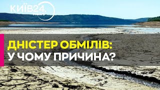 Через посуху сильно обмілів Дністер