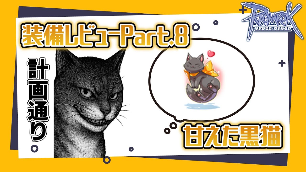 【黒猫】 bnkpc-front_1600x.jpg?v=1667893553