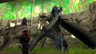 Congo Falls Flythrough Video