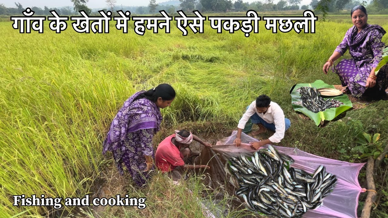 आज हमने गांव के धान  खेतों में ढेर सारा मछली पकड़ा/Village Fish Catching InPaddy Field#marybarlavlog