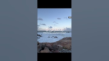 تلاوة هادئة تريح القلب و العقل