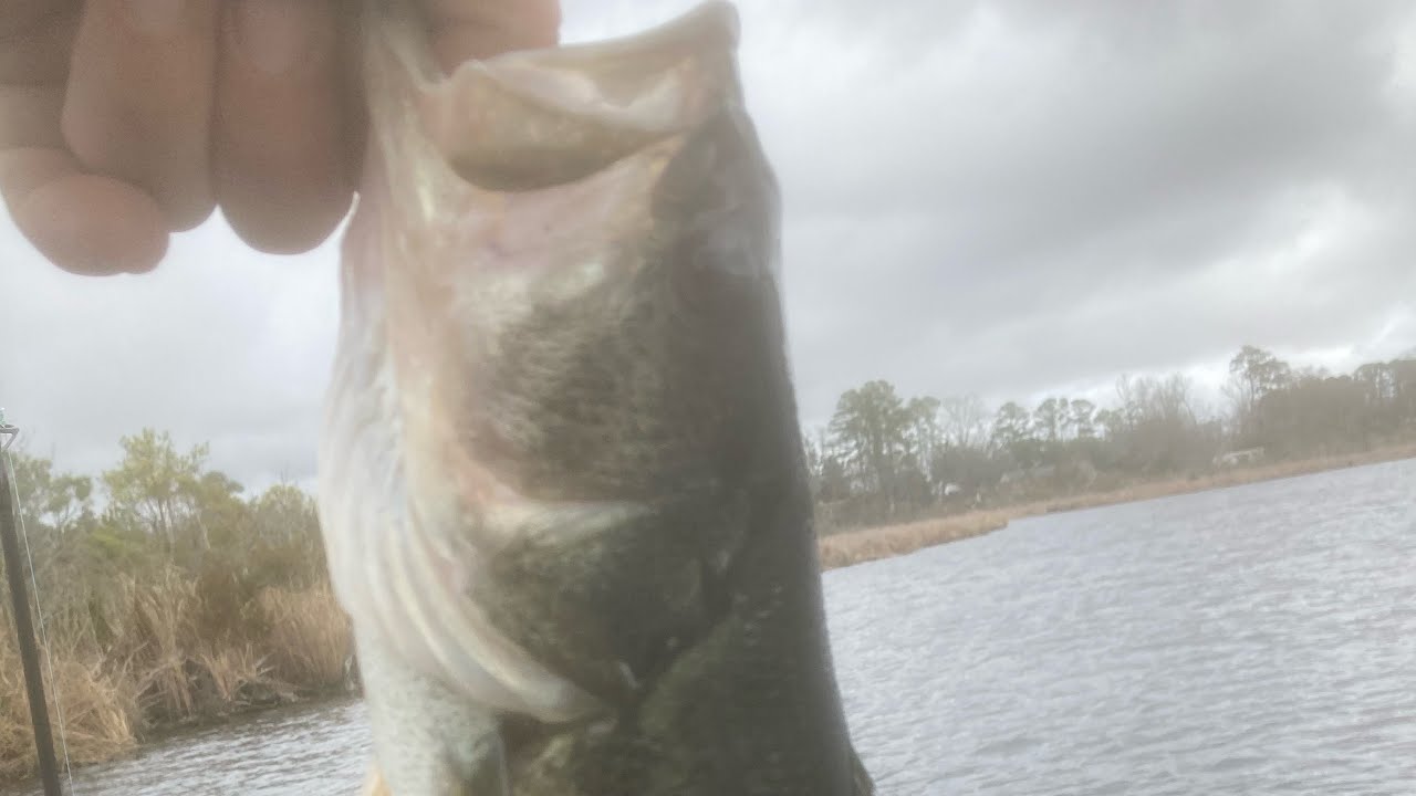 GONE WITH THE WIND! #bassfishing #fishing #winterfishing #northcarolina #bass #riverfishing