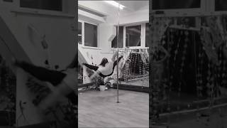 La técnica increible... pero los tornillos los fabricó la nasa 😱 😲 🔩 #comedy #humor #dog #pets
