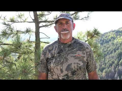 Pronghorn Antelope Snort Chuckle - Instructional video using the Dominator Game Call