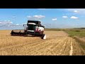 Уборка 2019. 29 июня старт уборки озимой пшеницы!
