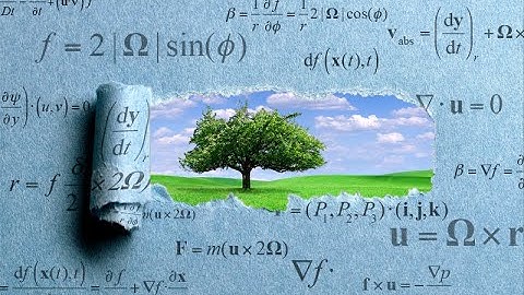 Does Math Reveal Reality?