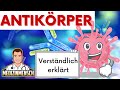 ANTIKÖRPER: Monoklonal, Polyklonal, Monoklonale Gammopathie | Arzt erklärt mit Beispielen