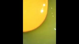 Pineapple jam