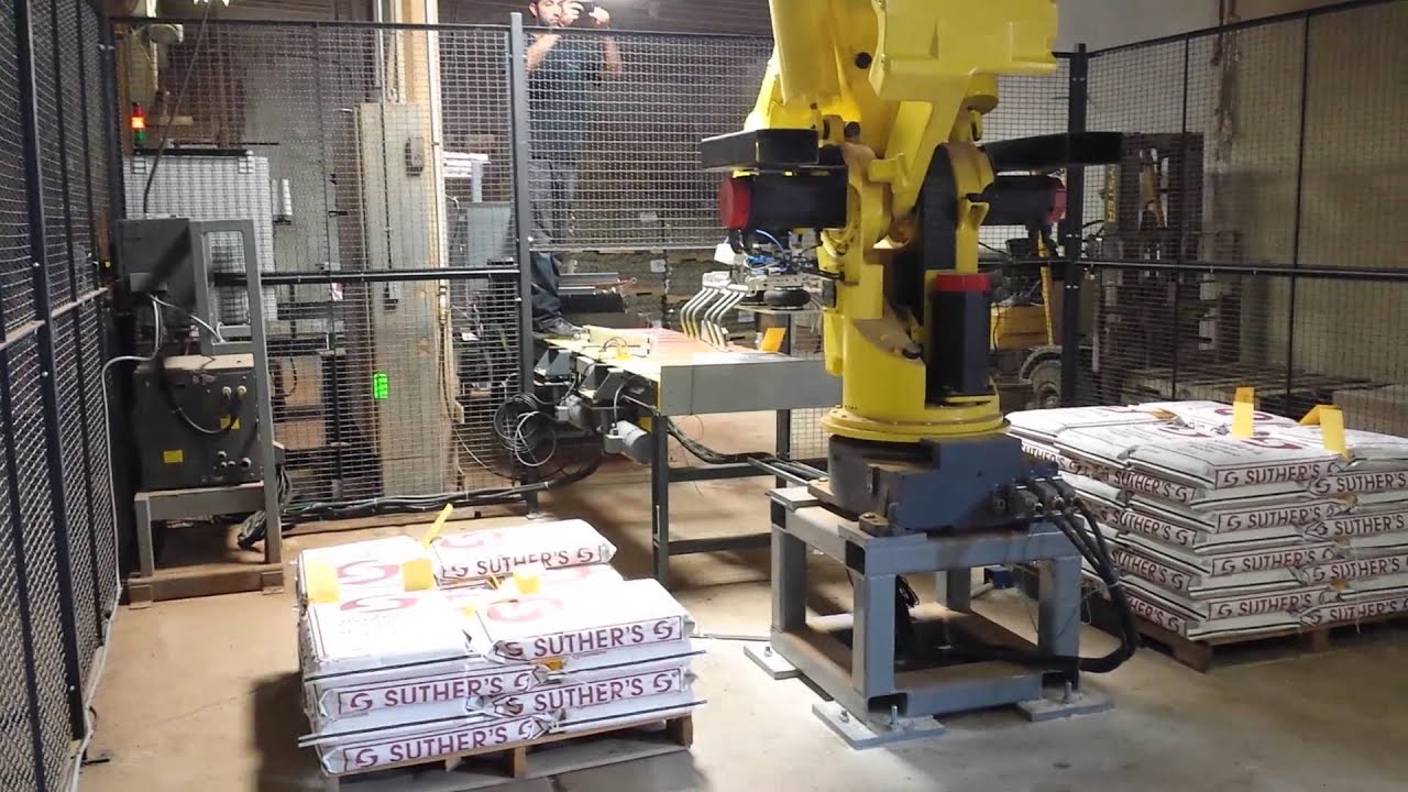 Robot Palletizer - Feed
