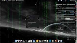 Xwinwrap on Linux Mint 10 (Julia)