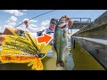 Bass Fishing with Finesse Jigs (Summer Dock Fishing Tips)