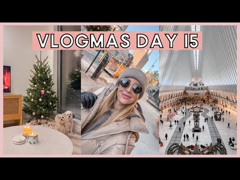 vlogmas-day-15-in-new-york-city!-going-on-a-date-&-exploring-nyc-(fidi,-the-oculus-+-freedom-tower)✨