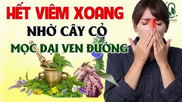 Viêm Xoang Đến Mấy Cũng Phải Chào Thua Trước Loại Cây Cỏ Này | Nam Dược Toàn Thư