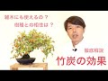 何故竹炭を混ぜるの ? 竹炭の効果について徹底解説 [盆栽・初心者]