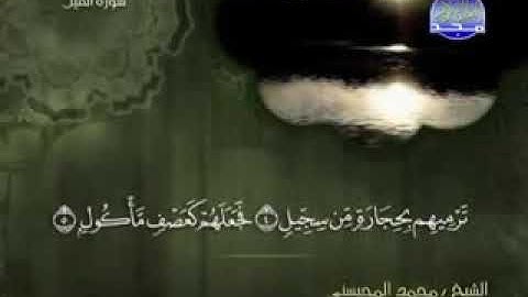 105 سورة الفيل كاملة الشيخ محمد المحيسني