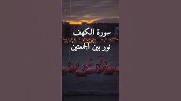 لا تنسوا قراءة سورة الكهف فهي نور بين الجمعتين