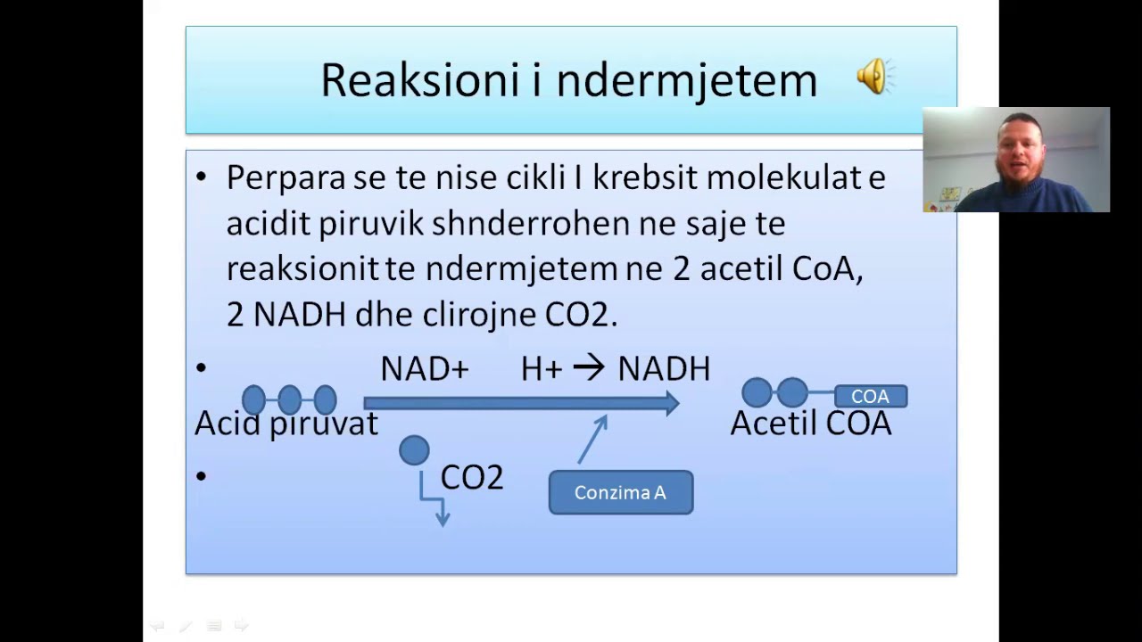 Frymemarrja Qelizore Bledi Lipo