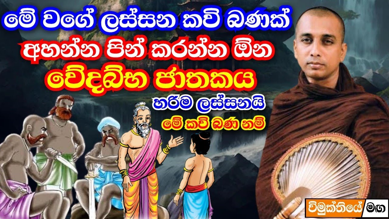 ඉතාම මනරම් කාව්‍යමය ධර්ම දේශනාවක් - වේදබ්භ ජාතක | ven pannala gnanaloka thero kavi bana