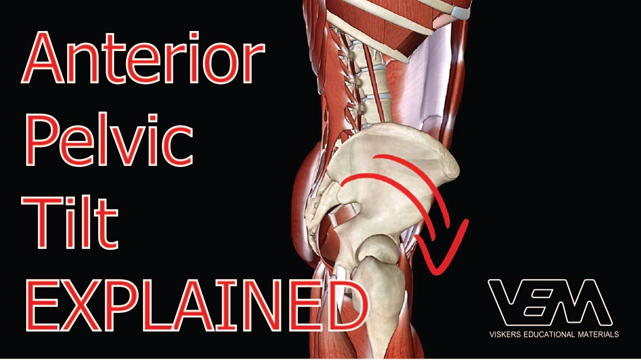 Chest Stretches For Rib Thrusters And Anterior Pelvic vrogue.co