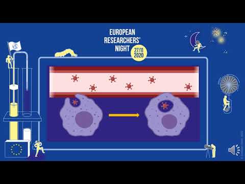 Video: Sarkozin Spodbuja Trgovino Z Dendritičnimi Celicami In Izboljšuje Učinkovitost Protitumorskih Cepiv Proti Dendritičnim Celicam Prek Signalizacije Družine CXC Hemokinov