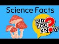 Fun science facts