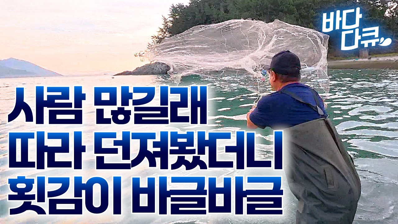 알고 보니 여기가 양식장 옆. 던질 때마다 횟감이 줄줄이 올라온다 / 투망 회 먹방 / #바다다큐