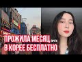 Как я оказалась в Корее и как полностью бесплатно можете уехать вы ✌🏻 | Учеба за рубежом